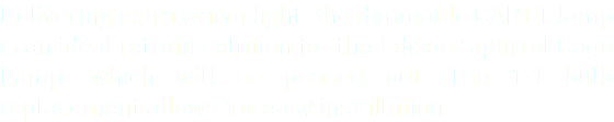 Delivering extra warm light, the dimmable CARET lamp is an ideal retrofit solution for the Edison Squirrel Cage Lamp, which will be phased out. The 1:1 bulb replacement allows for easy installation.
